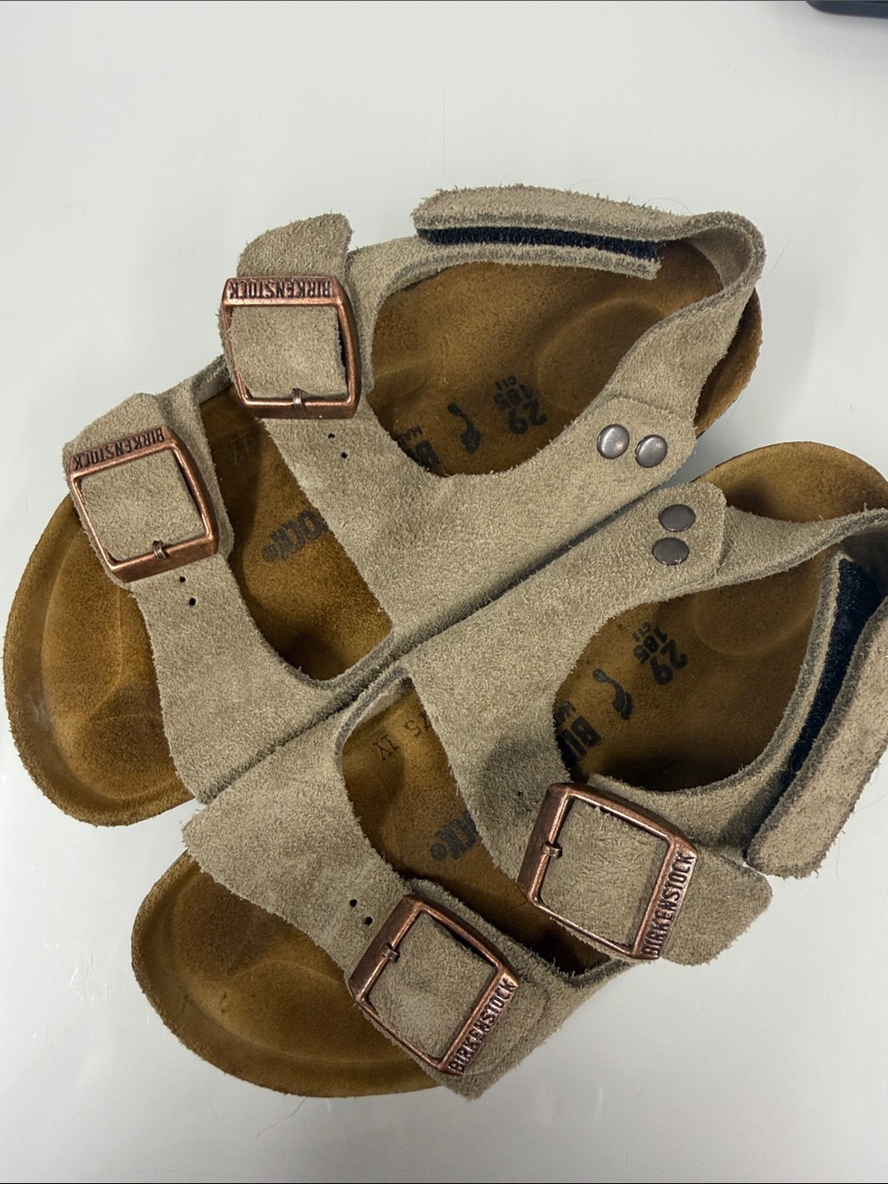 Birkenstock Kids Suede Sandals in Taupe with Rose Gold Buckles Milano 1Y